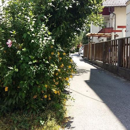 Sunflower Accommodation Любляна Екстериор снимка